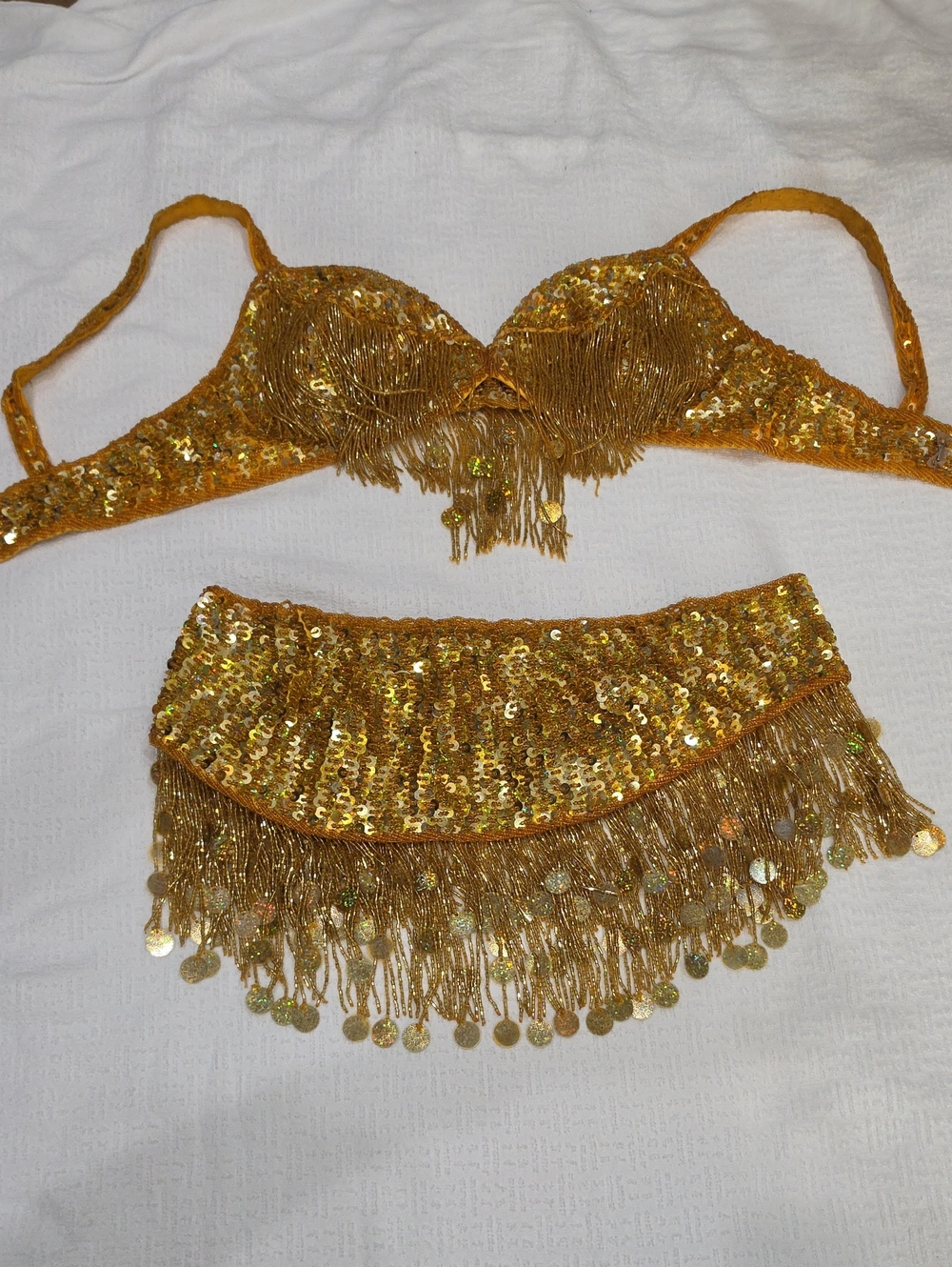 Professional Belly Dance Costume